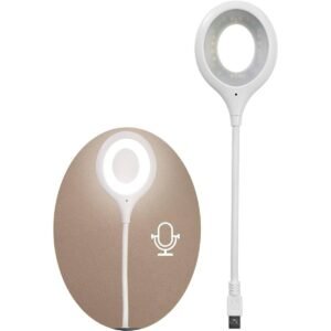 Usb Smart Voice Light